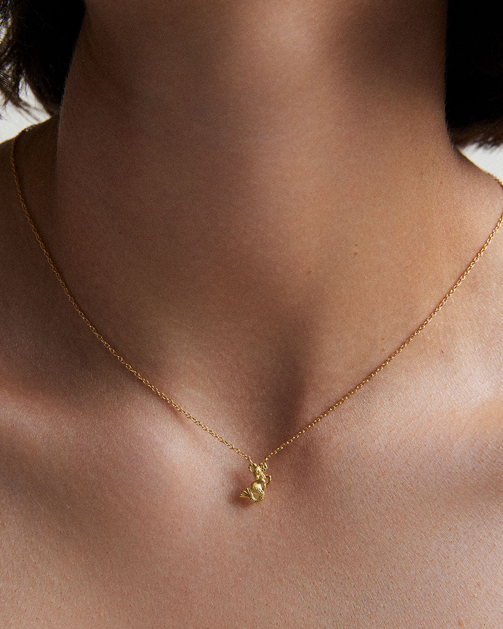 CAPRICORN STAR SIGN NECKLACE (18K GOLD VERMEIL)