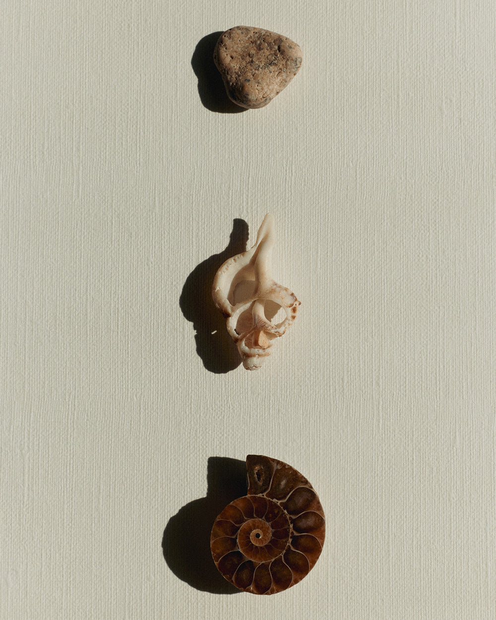 MARIS BRACELET (STERLING SILVER)