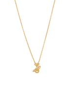 STAR SIGN NECKLACE (18K GOLD VERMEIL)