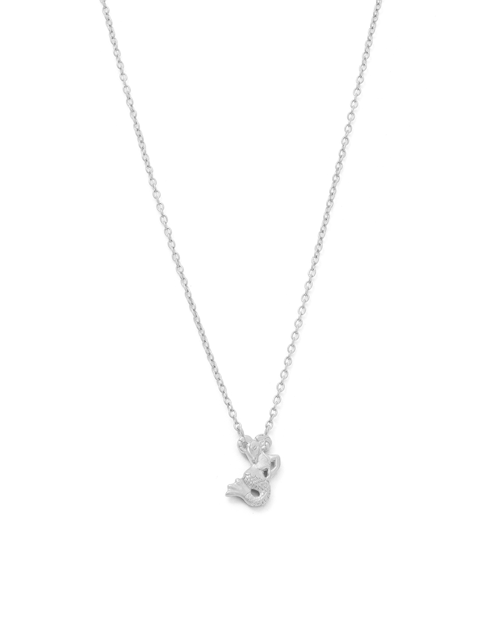 Capricorn online necklace silver