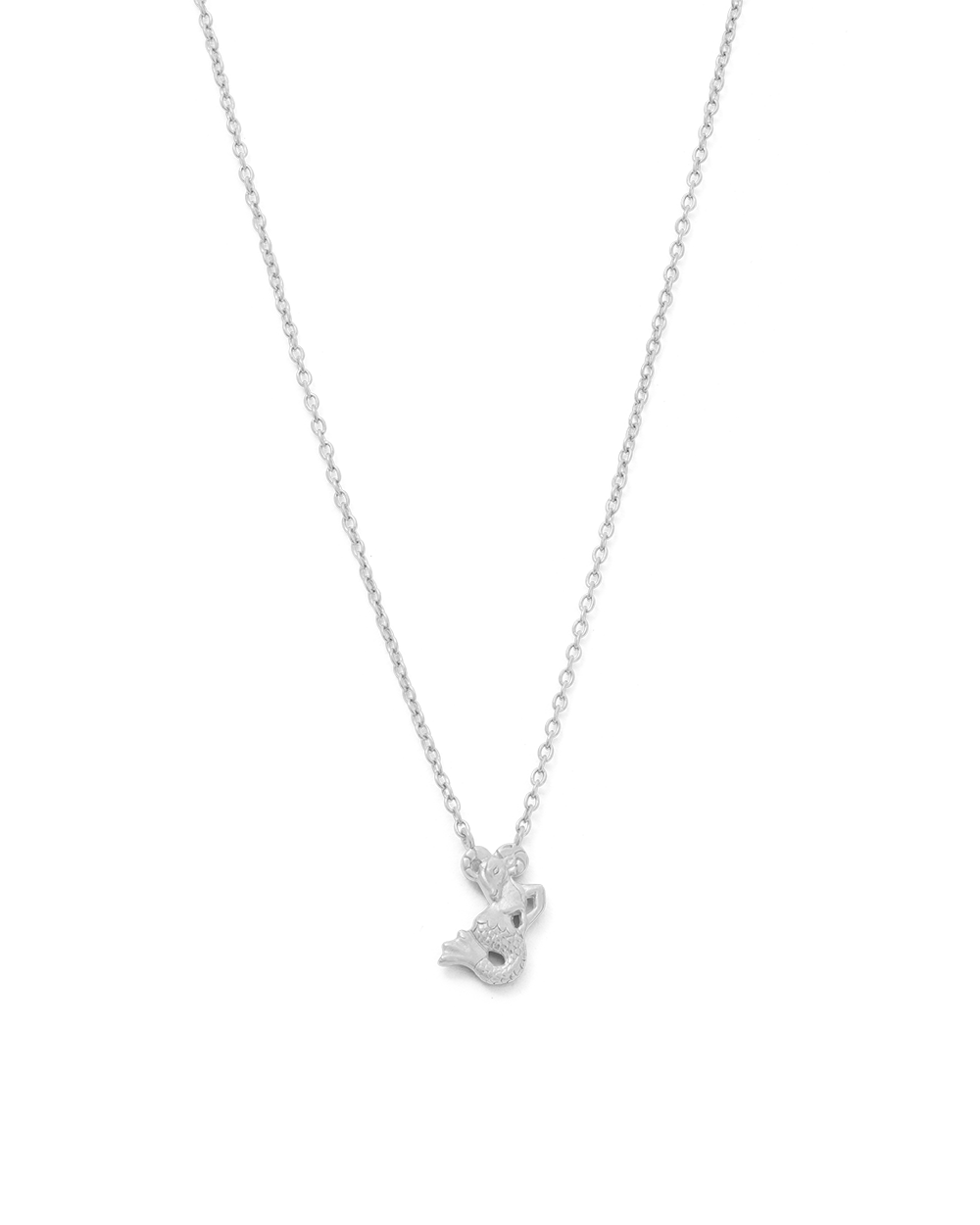 CAPRICORN STAR SIGN NECKLACE (STERLING SILVER)