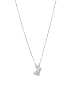 CAPRICORN STAR SIGN NECKLACE (STERLING SILVER)