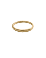 ELEMENTAL RING (18K GOLD VERMEIL)