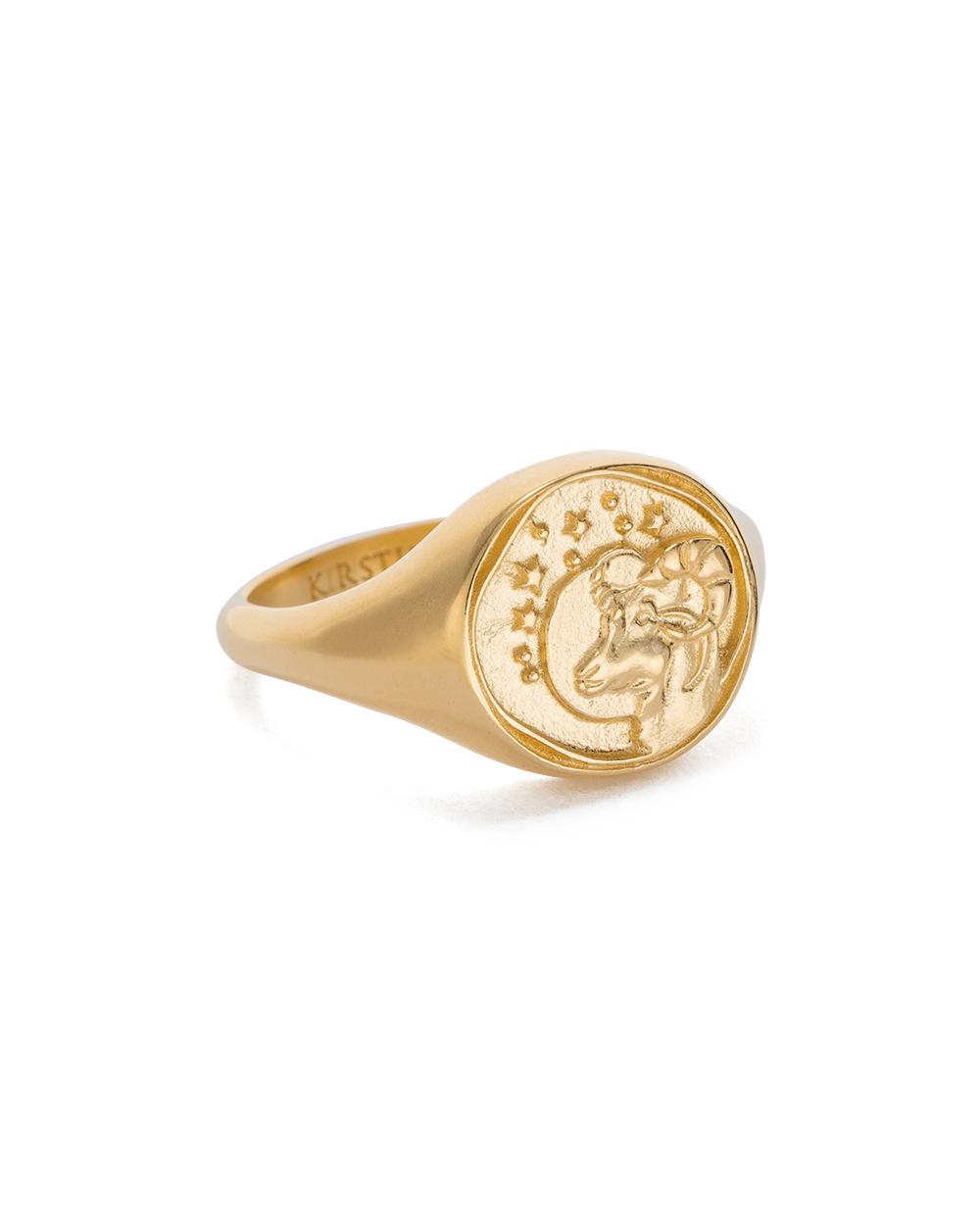 King of Lion Rings | Gold Lion Signet Ring | Unique Mens Jewelry -  Proclamation