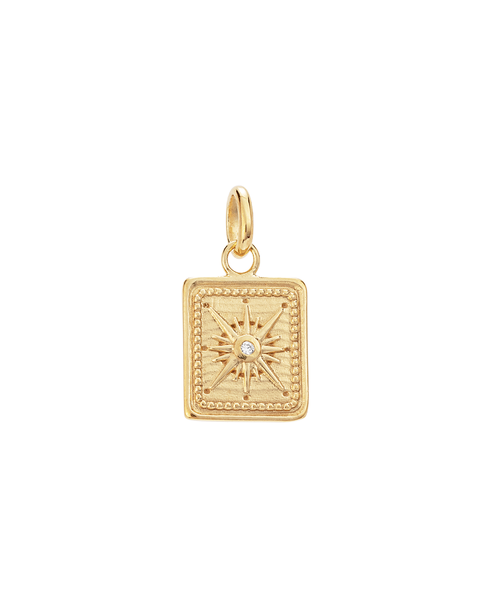 TINY TRUE NORTH COIN (18K GOLD VERMEIL) - IMAGE 1